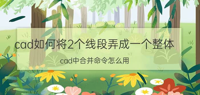 cad如何将2个线段弄成一个整体 cad中合并命令怎么用？